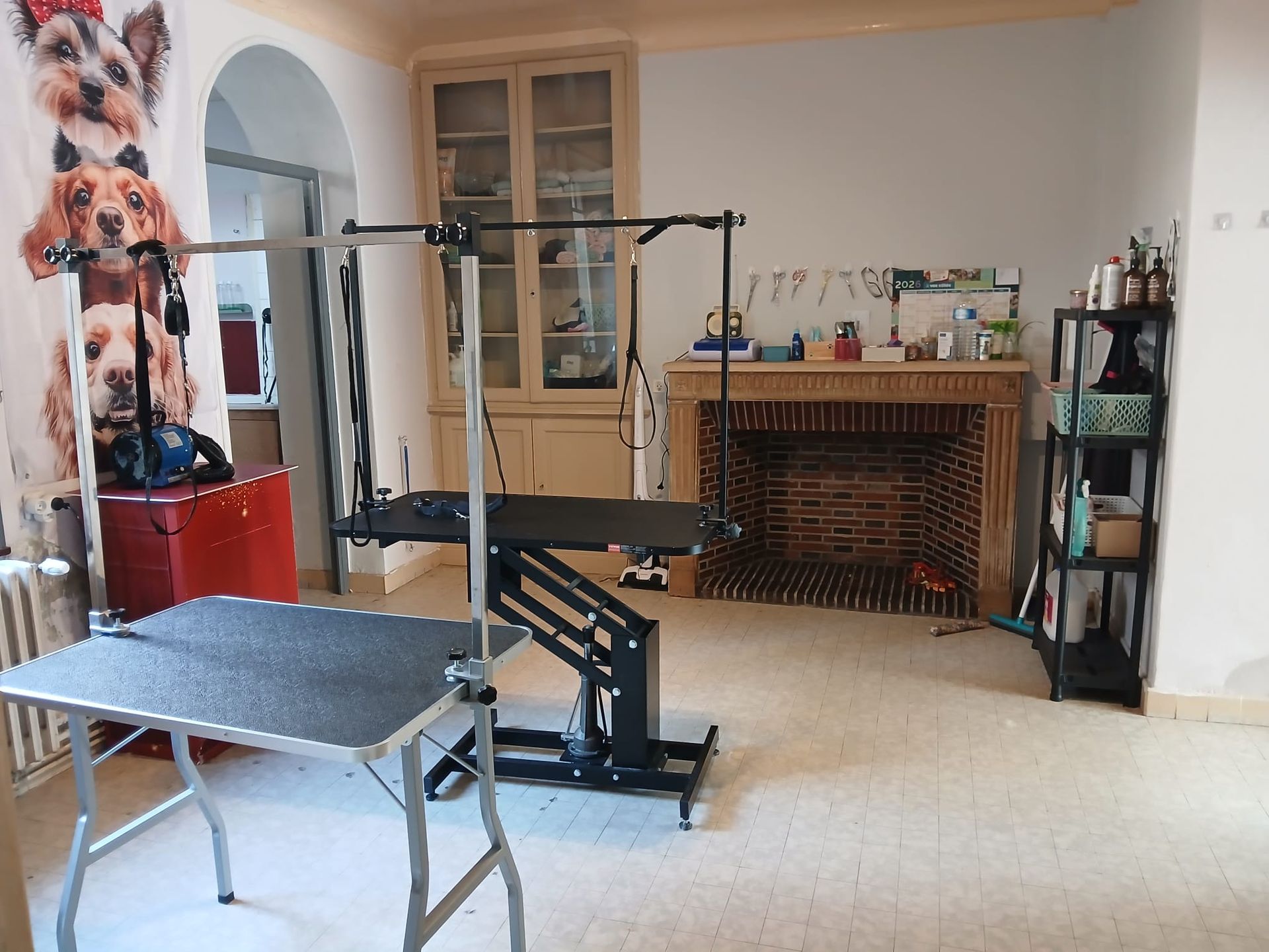 Salon de toilettage avec matériel.