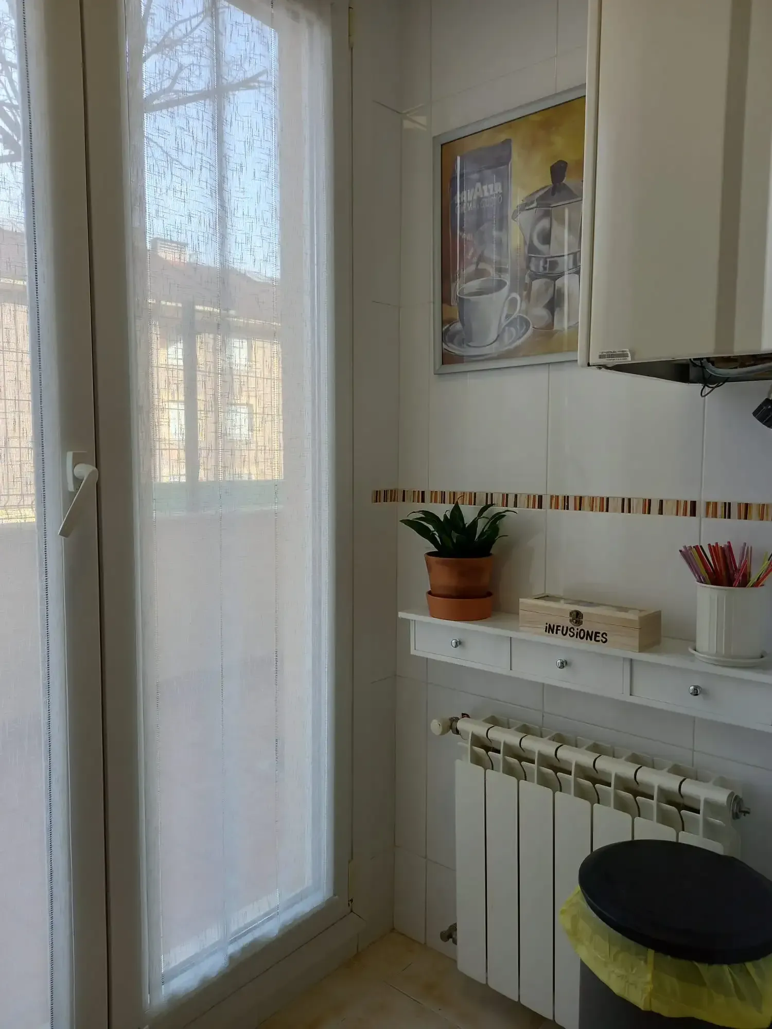 Pasillo luminoso con puerta de cristal, estante blanco en la pared, radiador, planta en maceta