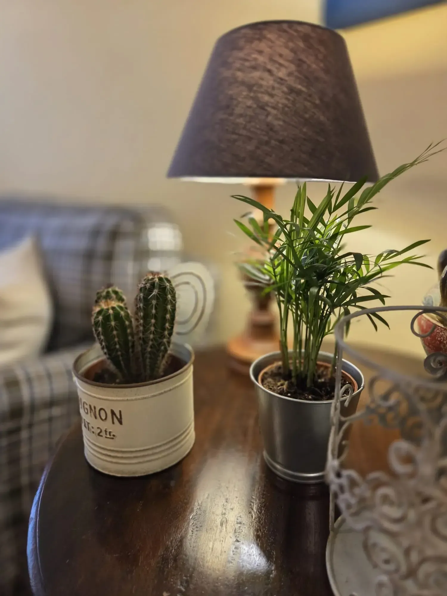 Lámpara de mesa junto a dos pequeñas plantas en maceta sobre una mesita auxiliar de madera en una habitación acogedora.