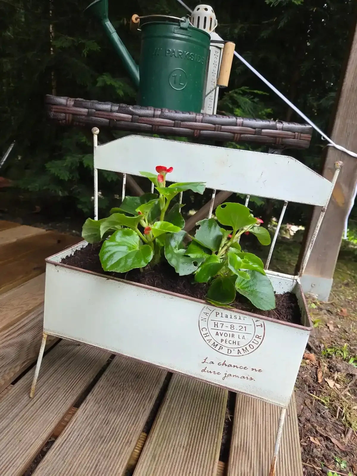 Macetero de madera blanca con plantas verdes en flor sobre una terraza de madera, debajo de una regadera verde y una repisa.