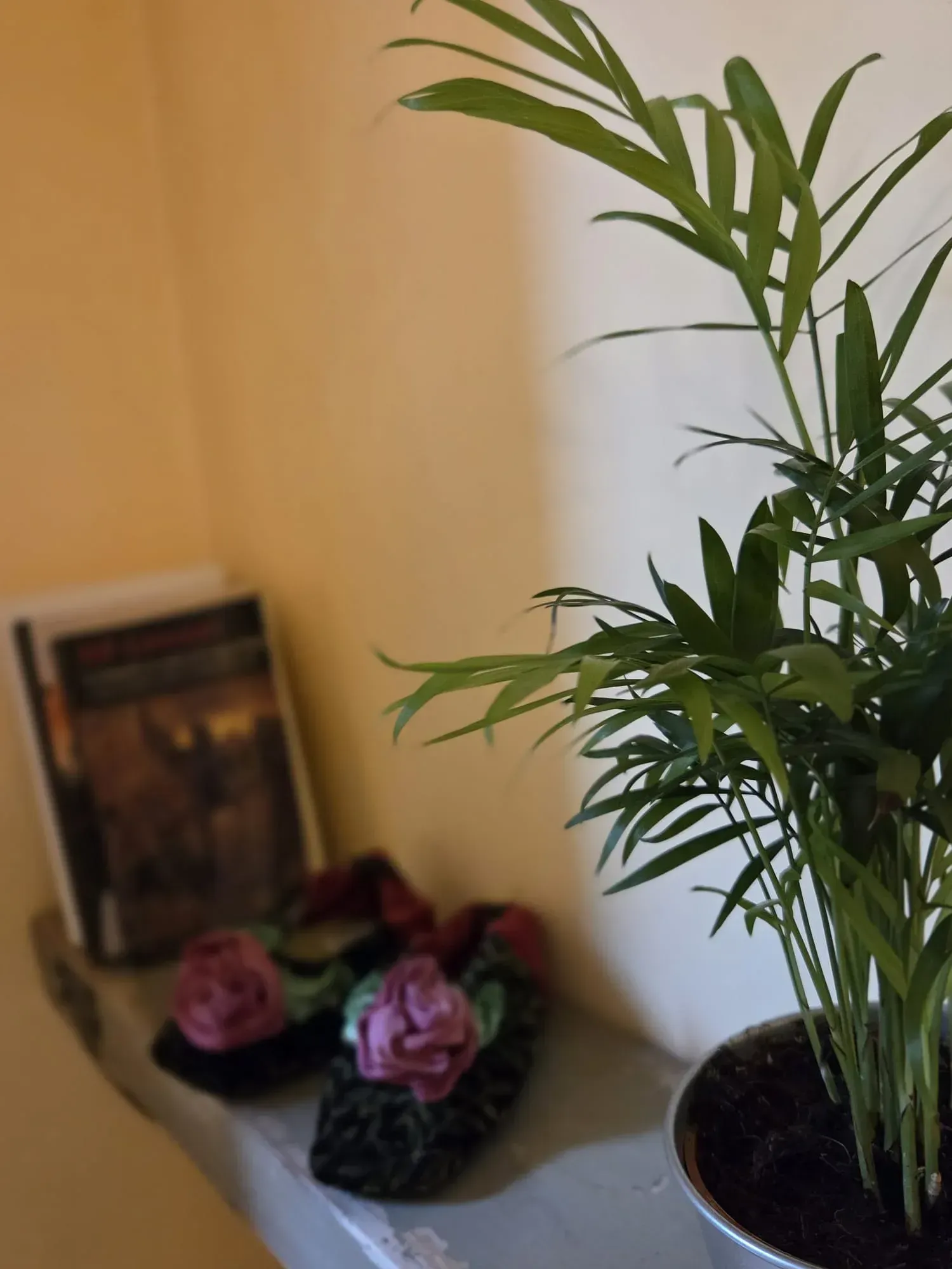 Una planta de interior verde en maceta junto a una pared con dos flores rosas en el suelo cerca.