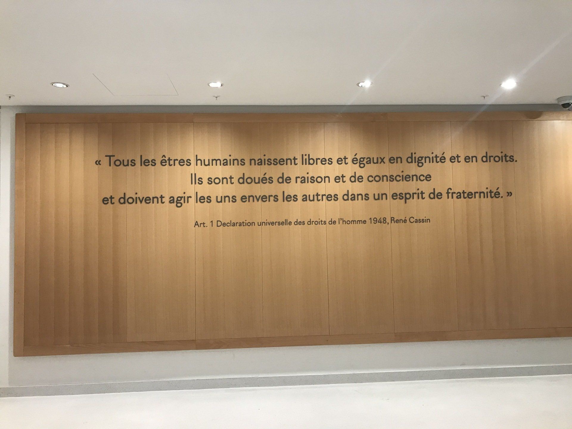 Inscription de la déclaration universelle