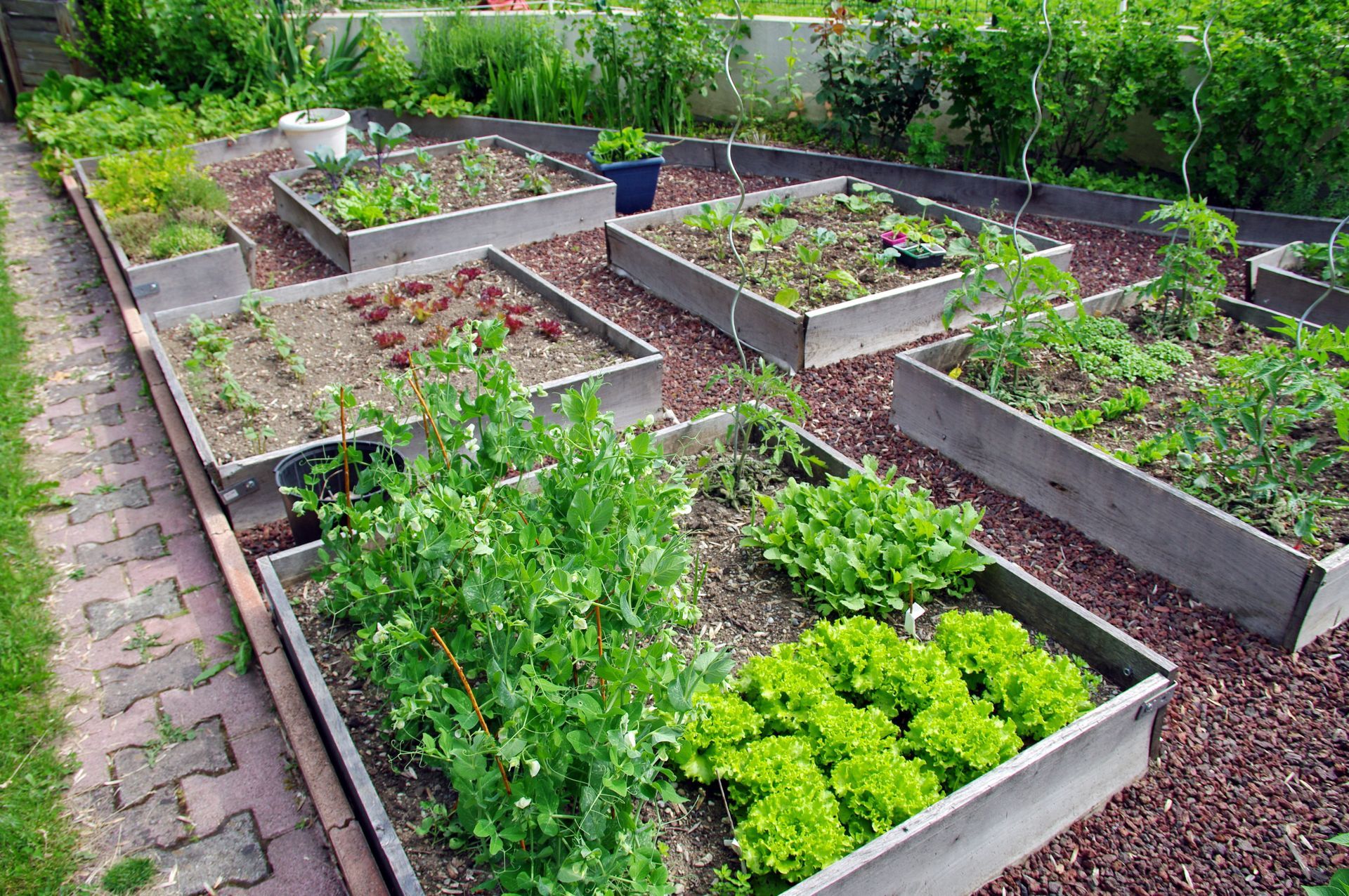 Photo d'un aménagement paysager en potager