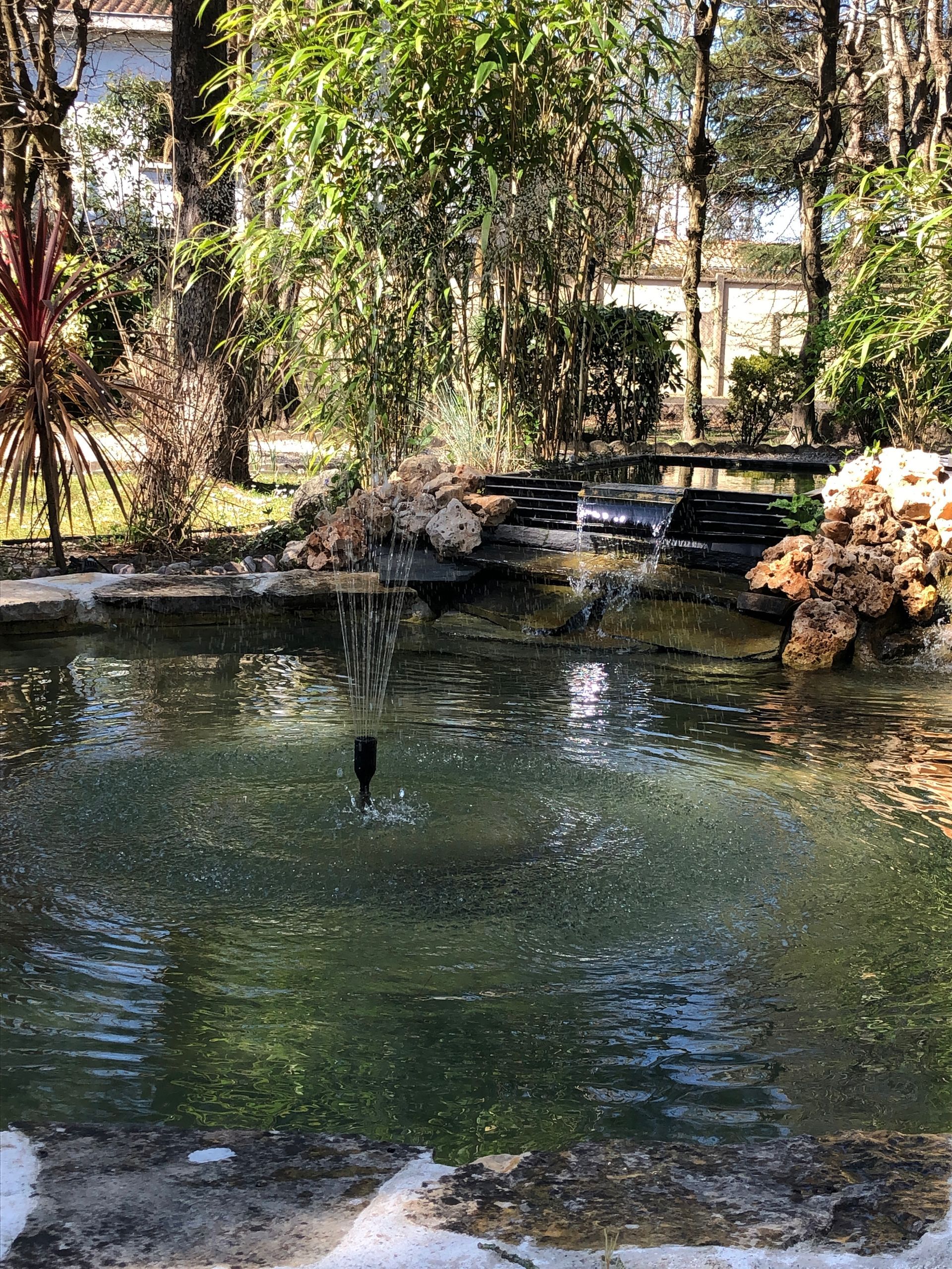 Photo d'une création d'un bassin et une fontaine