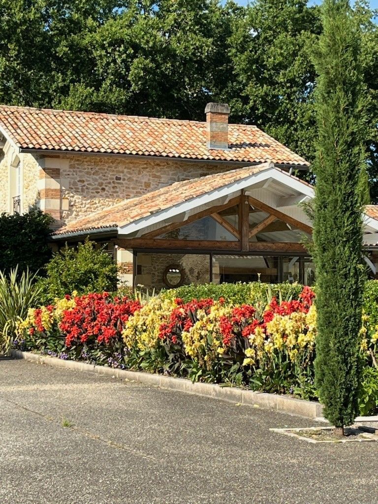 Photo de cannas, de cyprès dans un massif