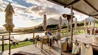 Cape Point Vineyards