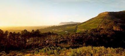 Beau Constantia