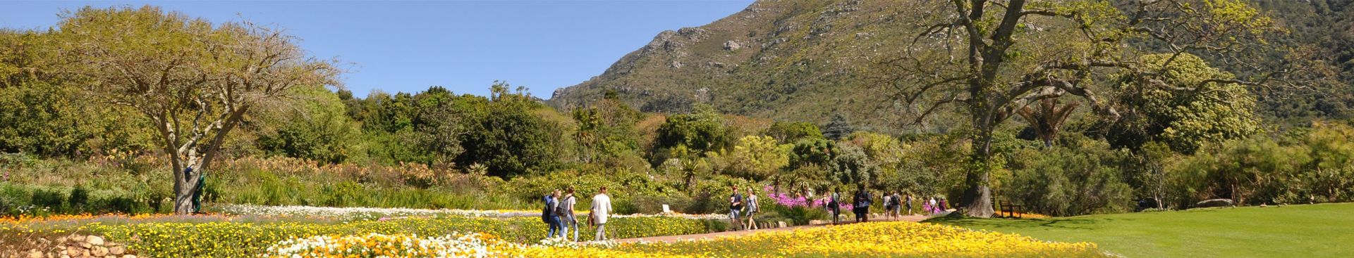 Kirstenbosch National Botanical Garden
