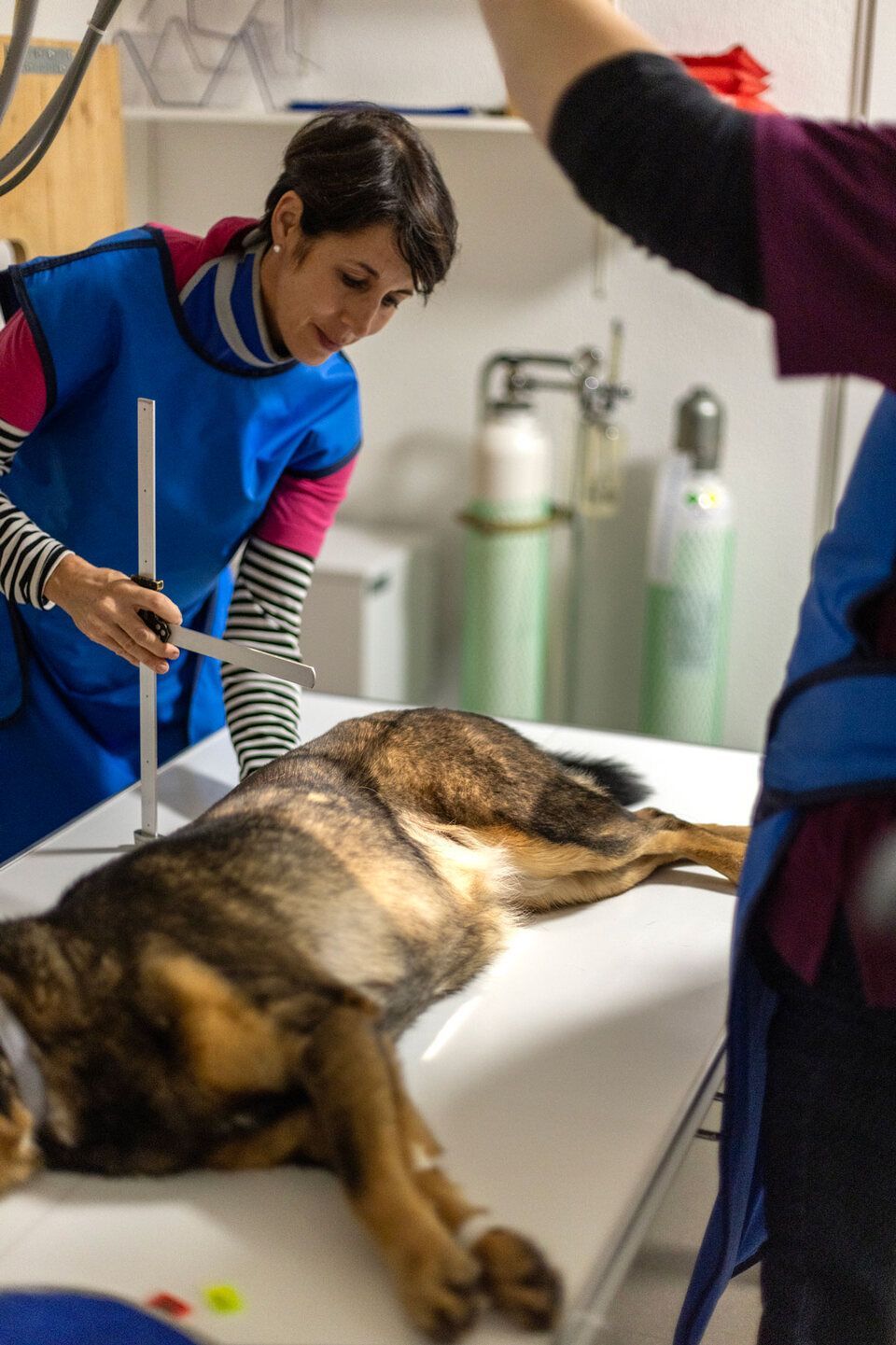 Kleintierpraxis HallMa AG