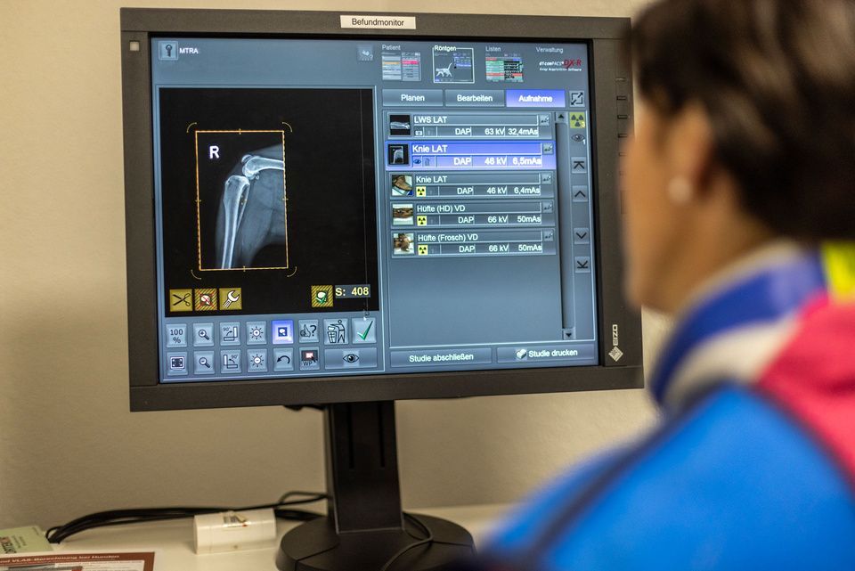 Kleintierpraxis HallMa AG