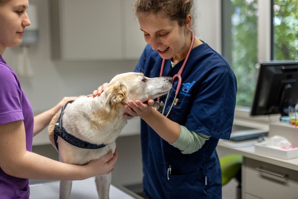 – Kleintierpraxis HallMa AG