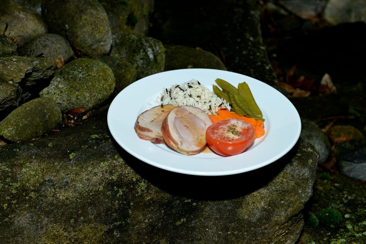 Weißer Teller mit geschnittenem Fleisch, Reis, Tomate und Gemüse auf einem moosbewachsenen Felsen im Freien