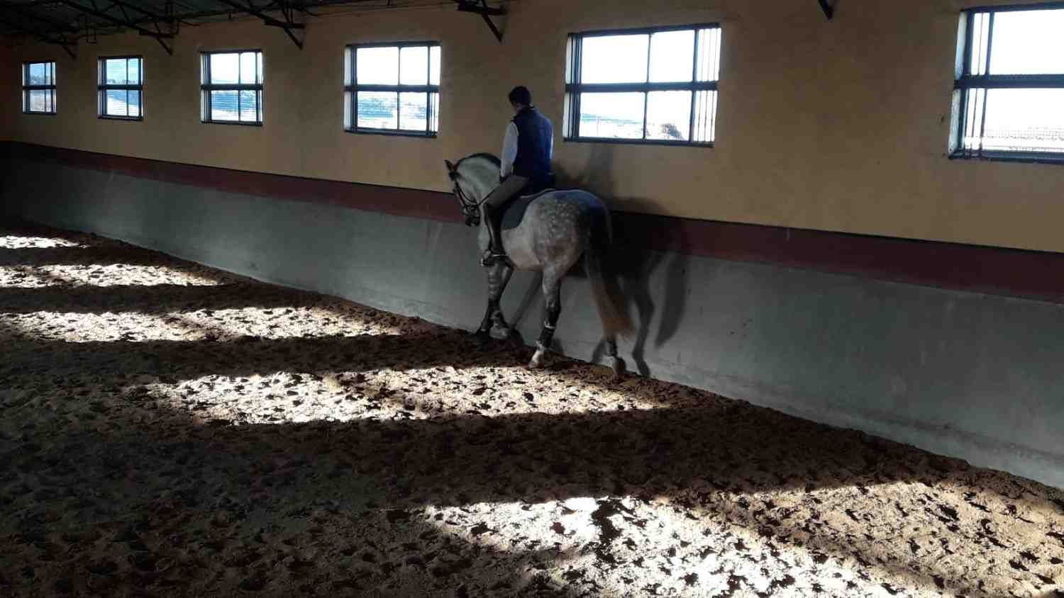 Persona montando un caballo gris en una pista cubierta.