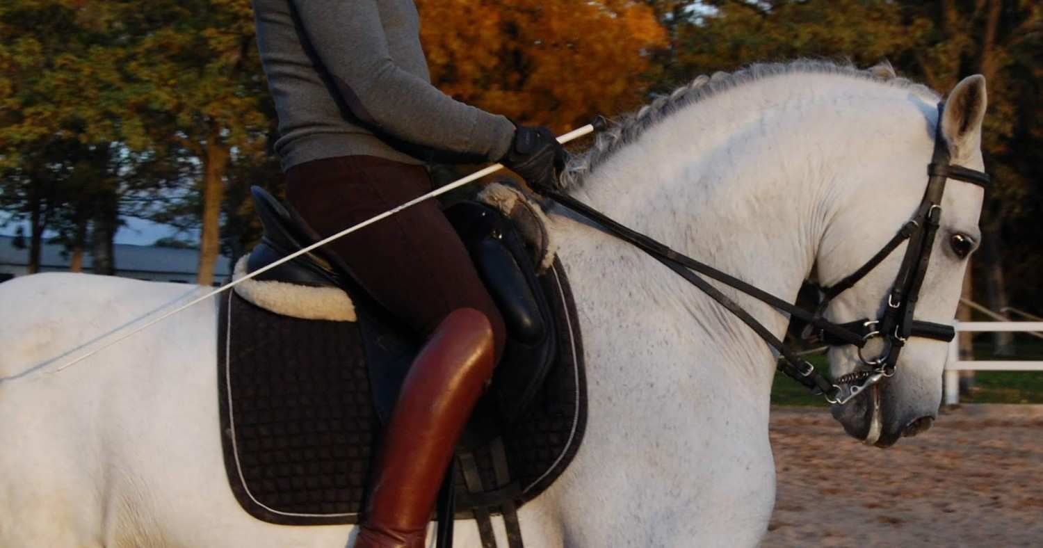 Persona montando un caballo blanco en una pista al aire libre, con un látigo en la mano. El jinete viste ropa oscura.