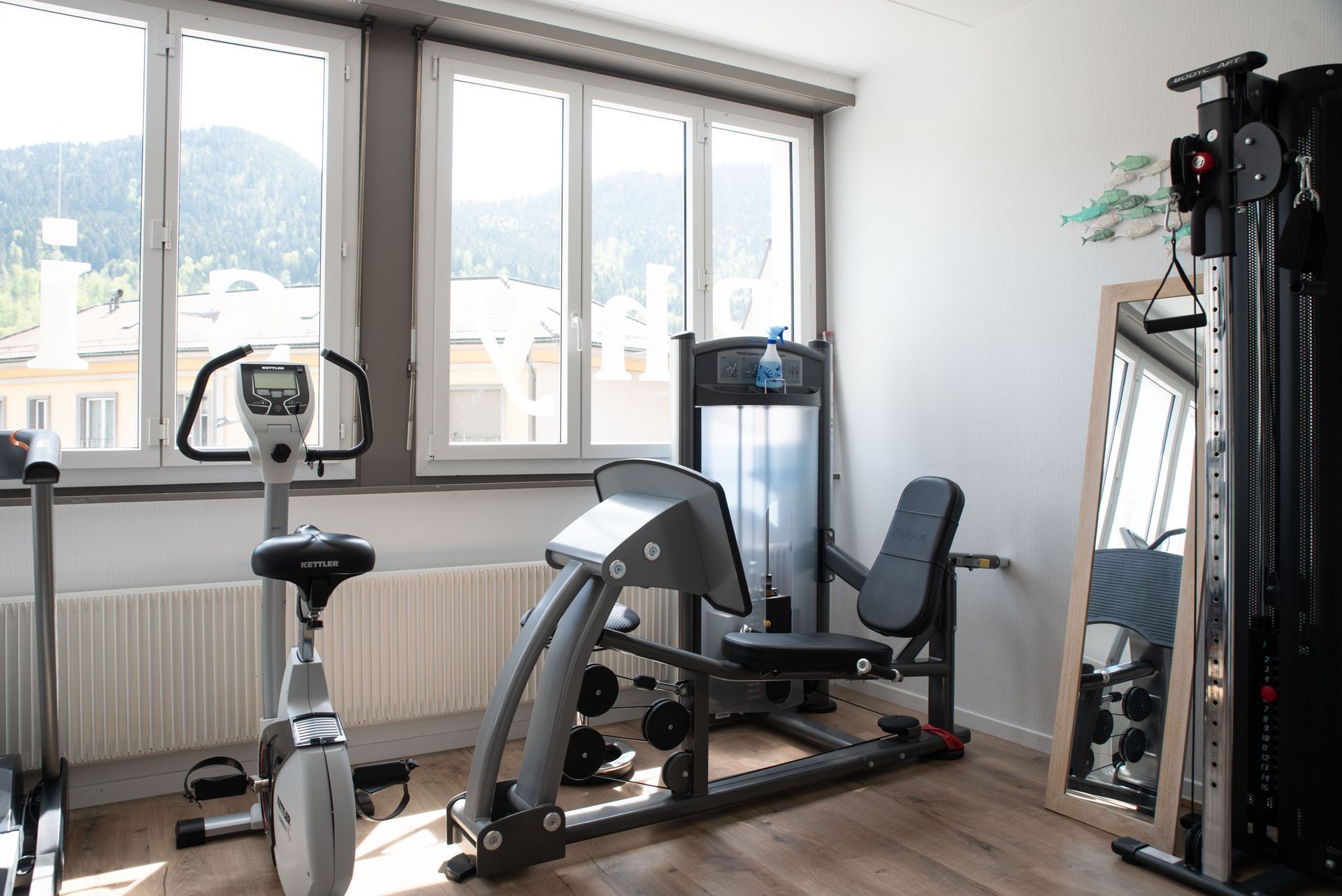Salle de sport à domicile avec vélo stationnaire, presse à jambes, appareil de musculation et miroir. 