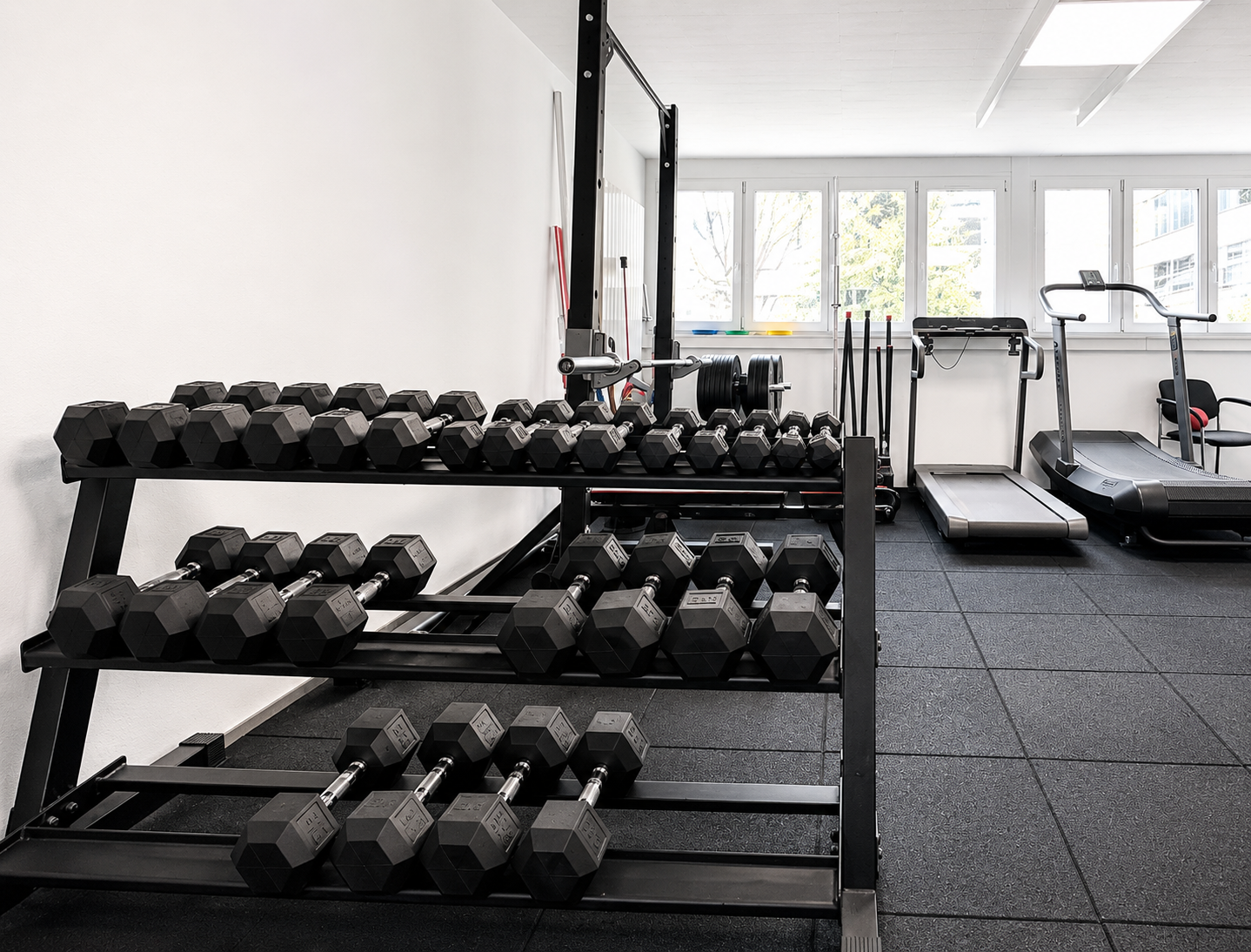 Salle de sport avec support pour haltères, tapis roulant et sol en caoutchouc noir près de grandes fenêtres.
