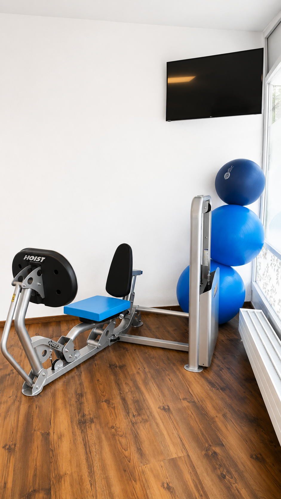 Coin salle de sport à domicile avec un rameur, des ballons de gym bleus, une télévision et un parquet.