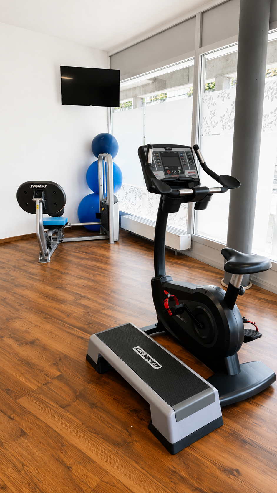 Salle de sport à domicile avec vélo d'appartement, tapis de course, step et télévision sur parquet dans une pièce lumineuse