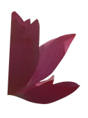 Logo Guillemette Kuyten