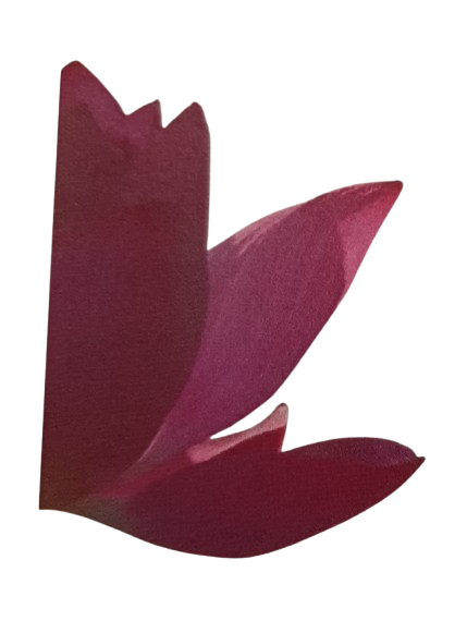 Logo Guillemette Kuyten