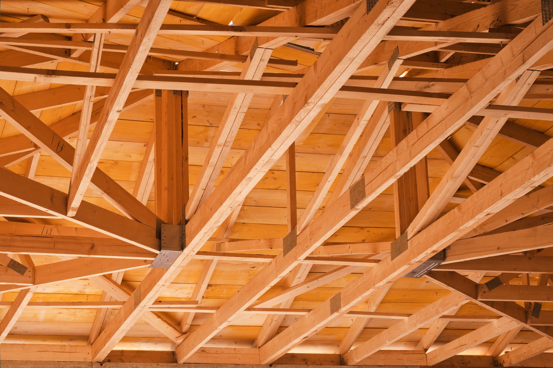 Charpente et supports en bois, tons de bois naturel, vue intérieure.