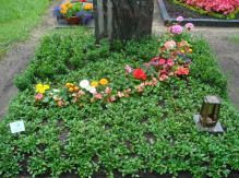 Gärtnerei Rogner-Bär • Grabanlagen