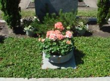 Gärtnerei Rogner-Bär • Grabanlagen