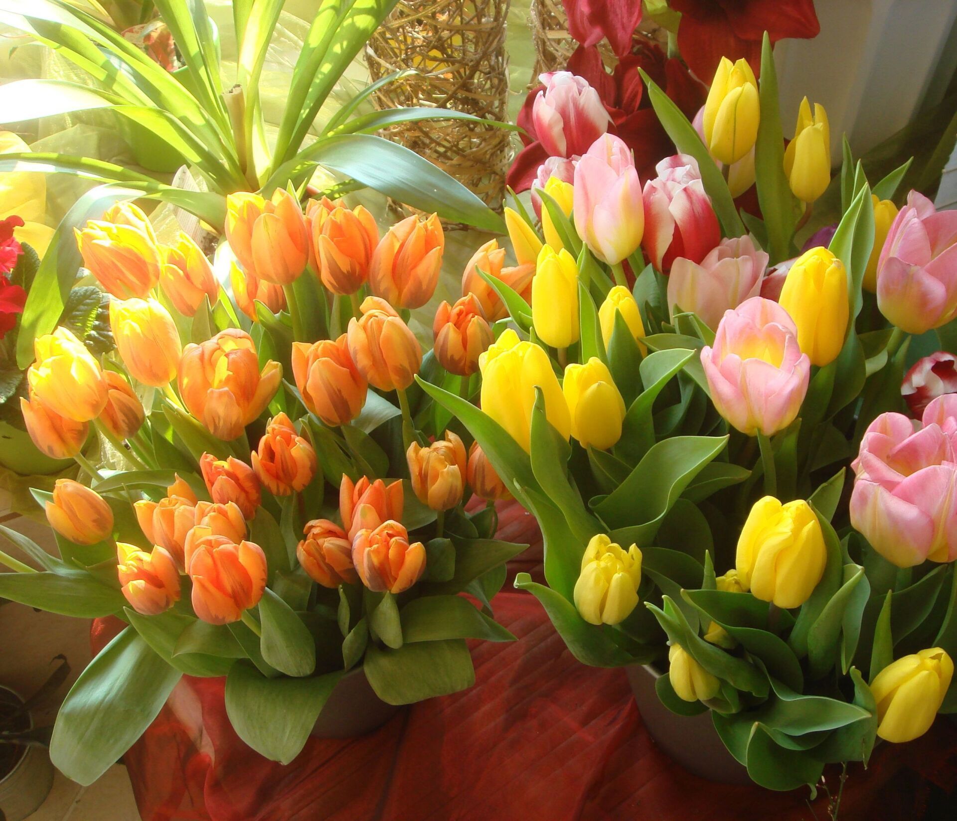 Gärtnerei Rogner-Bär · Floristik & Ladengeschäft