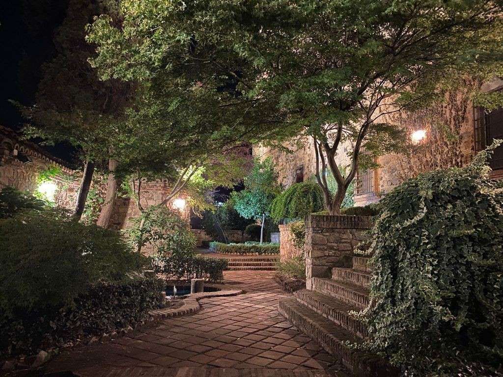 Camino de piedra a través de un jardín por la noche, árboles y follaje iluminados por luces.