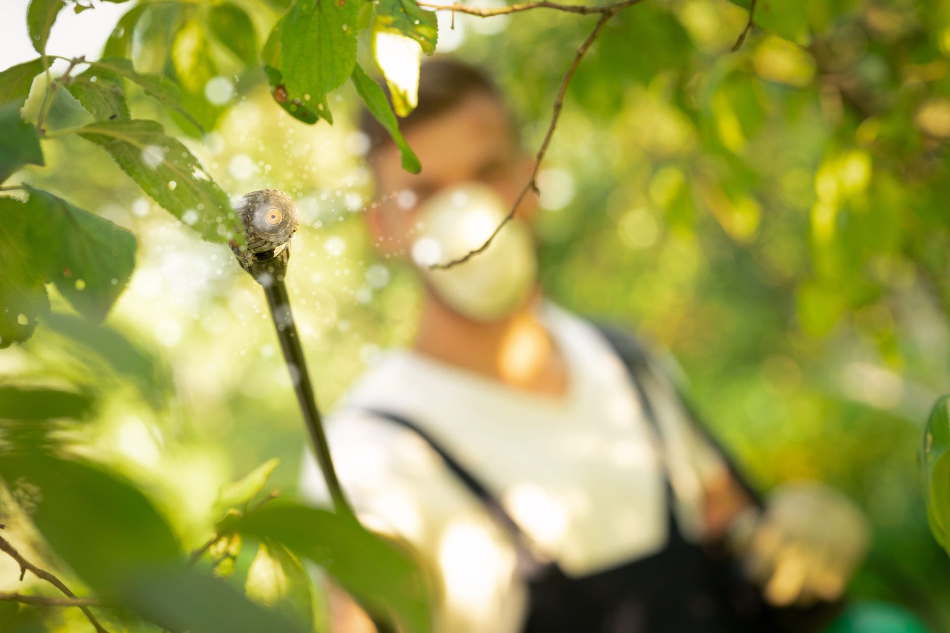 Técnico con uniforme azul y guantes inspeccionando un dispositivo junto a una ventana, sonriendo.