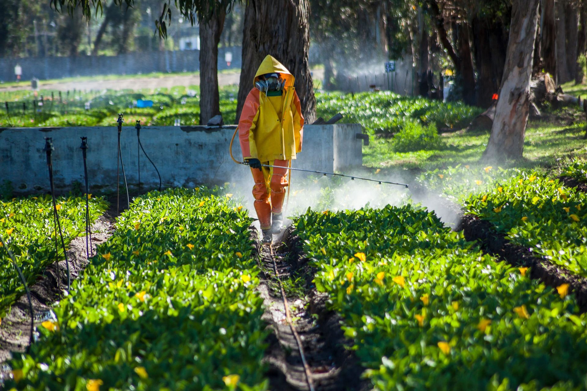 Una cinta métrica amarilla forma el contorno de una casa alrededor de un martillo y una llave inglesa sobre un fondo azul.