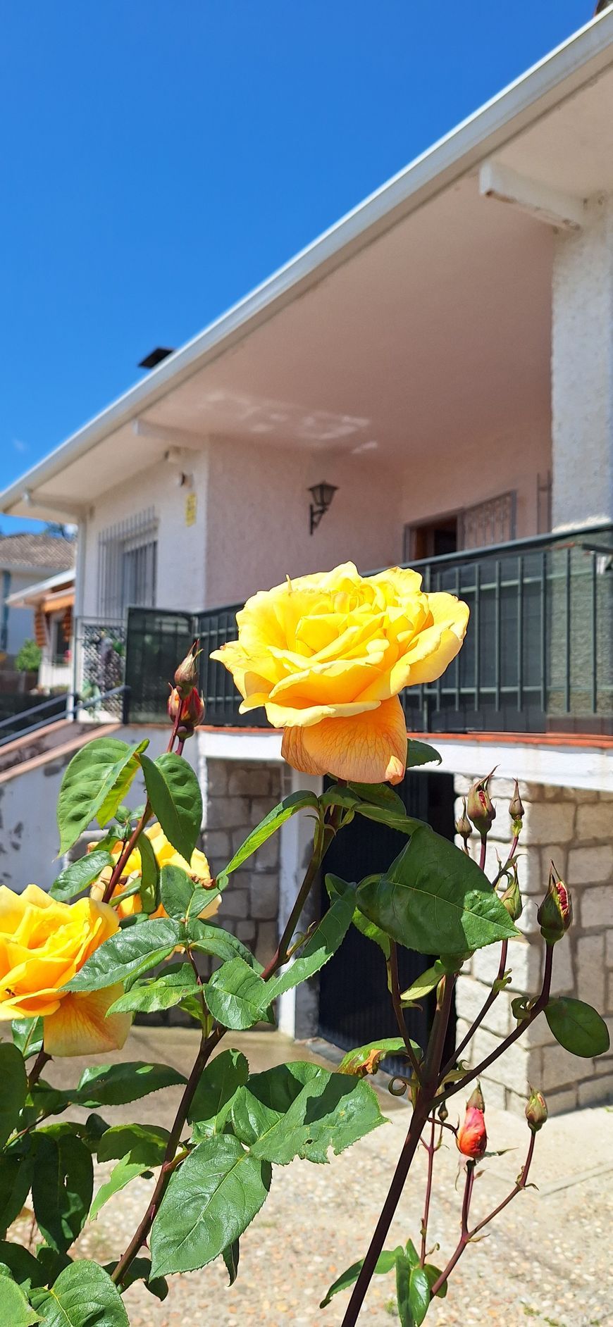 Detalle entrada con rosas y porche de fondo