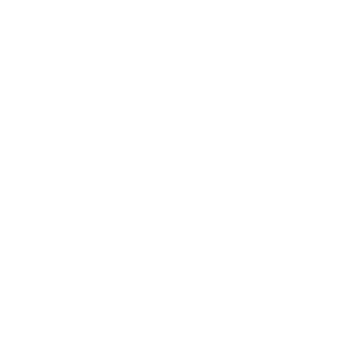 accompagnement professionnel