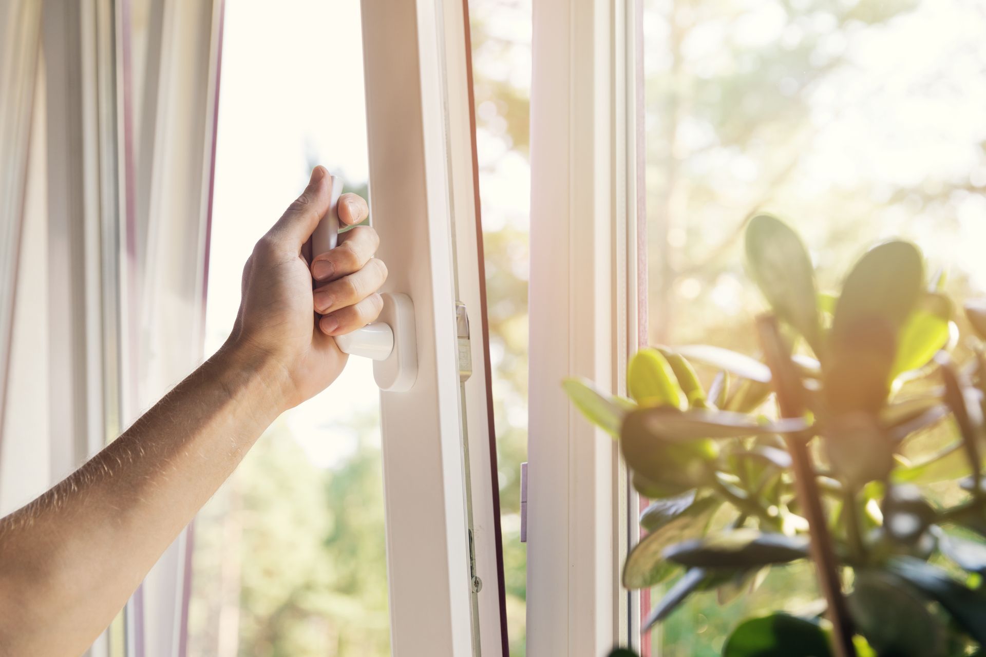 Une main ouvre une fenêtre ensoleillée à côté de plantes vertes d'intérieur et de rideaux légers.