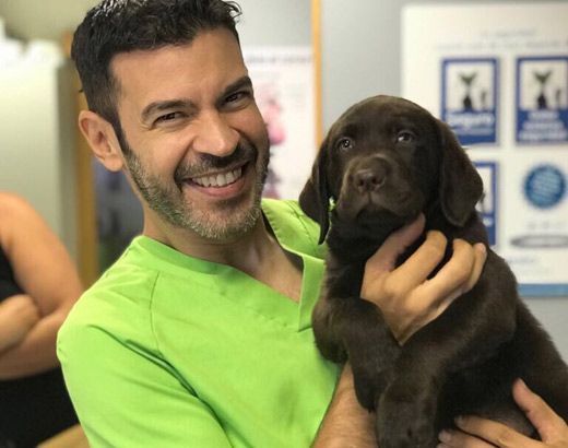 Un hombre con una camisa verde sostiene un cachorro marrón.