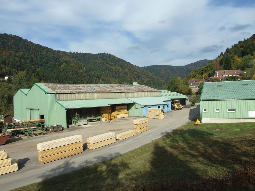 Scierie avec de longs hangars verts, des planches empilées et des collines boisées sous un ciel nuageux