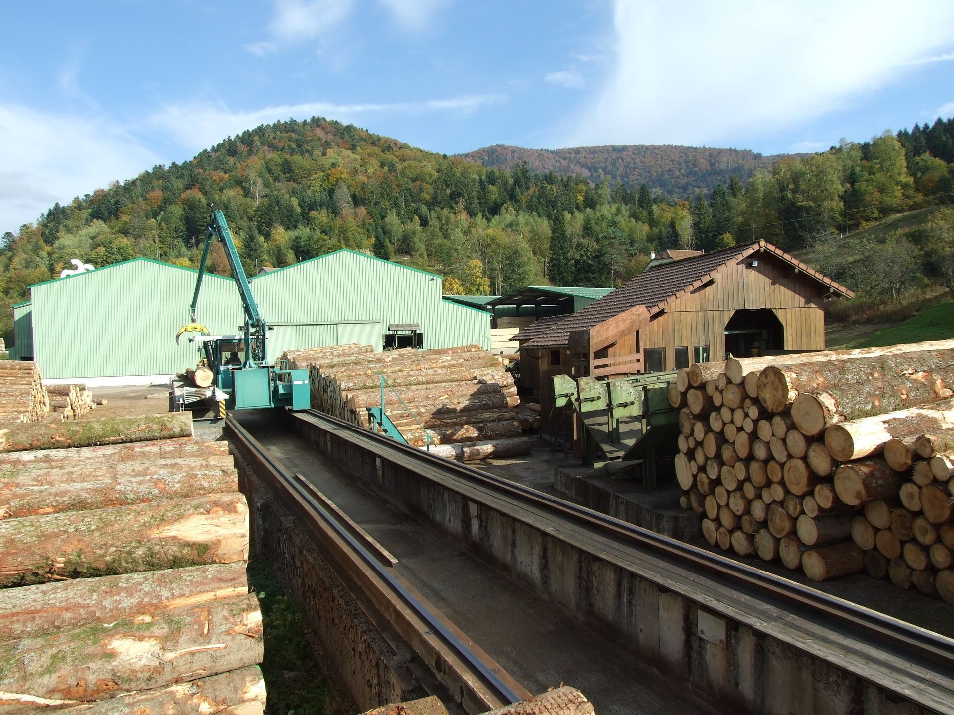 Parc à grumes avec des grumes empilées, une grue et une montagne en arrière-plan