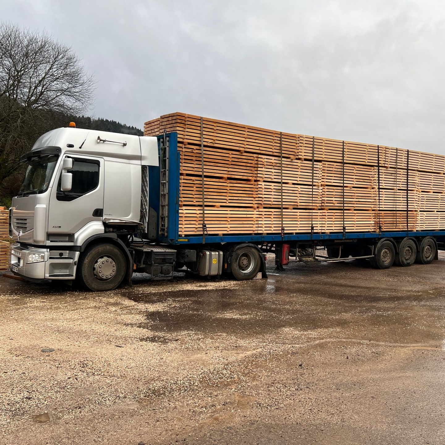 Un semi-remorque blanc transporte une longue cargaison de bois empilé.