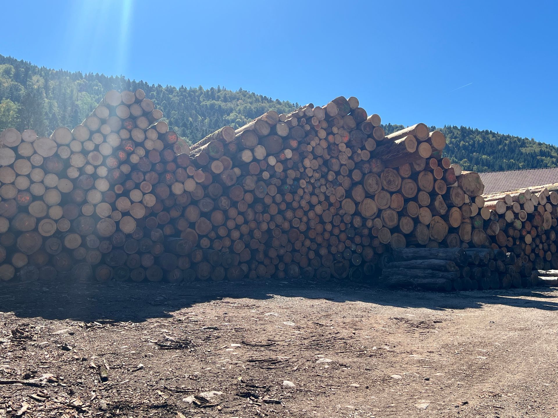 Des bûches de bois coupées empilées dans une zone boisée avec des collines en arrière-plan.