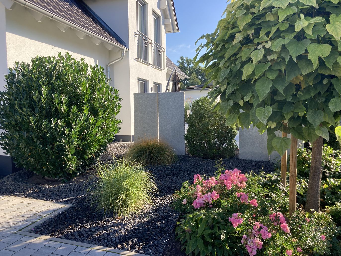 Kiesboden mit Bäumen