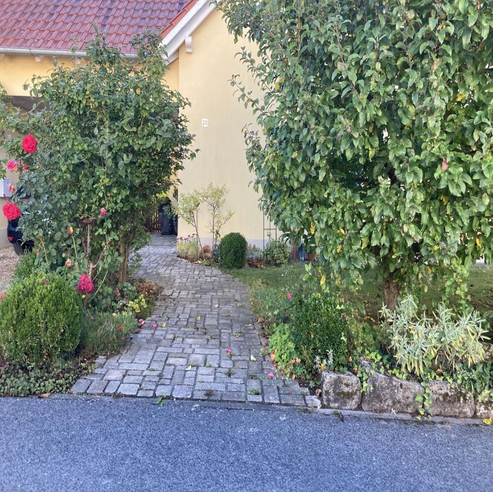 Gepflasterter Weg mit Bäumen