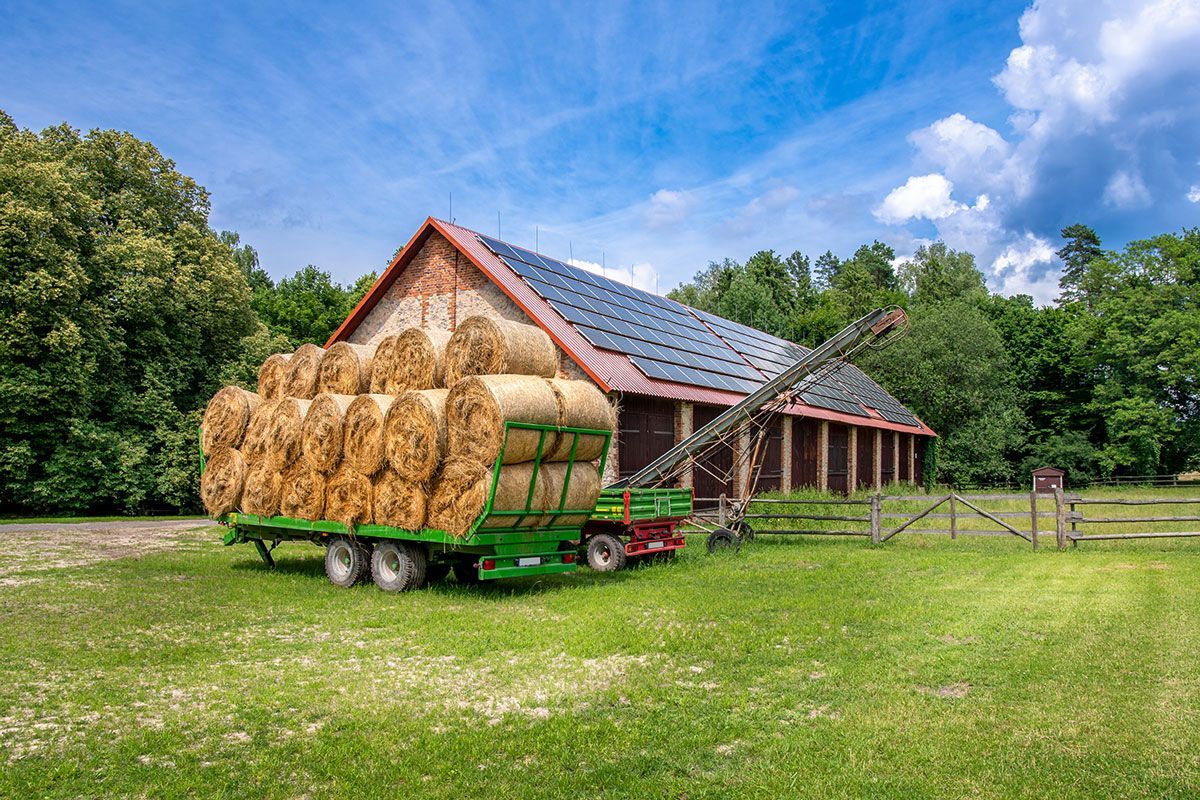 Bâtiment agricole avec des panneaux solaires