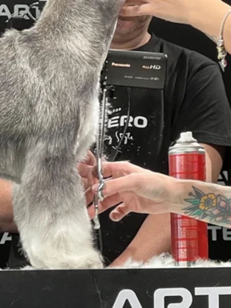 Hundecoiffeur “cut’n love”