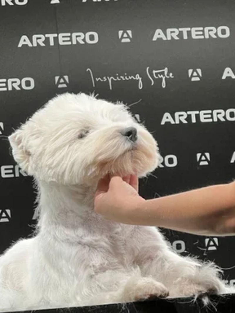 Hundecoiffeur “cut’n love”