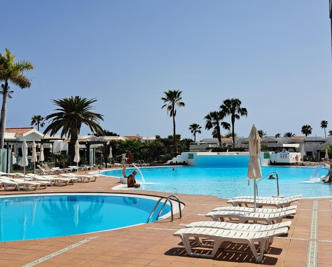 Una gran piscina con palmeras al fondo.
