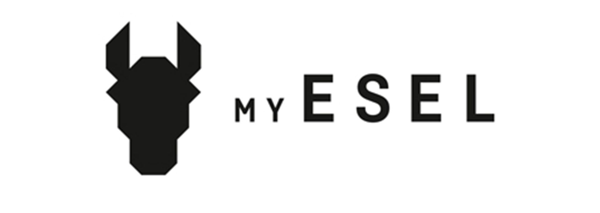 Das Logo für meinen Esel zeigt einen Stierkopf mit Hörnern.