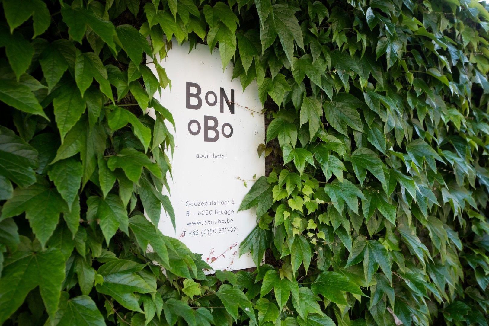 bonobo-tuin-2-1.jpg