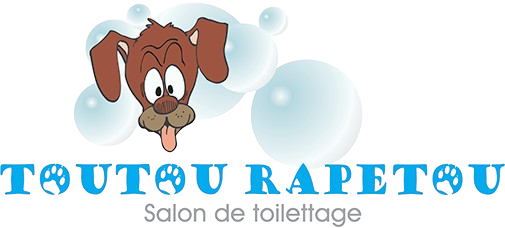 Logo de Toutou Rapetou