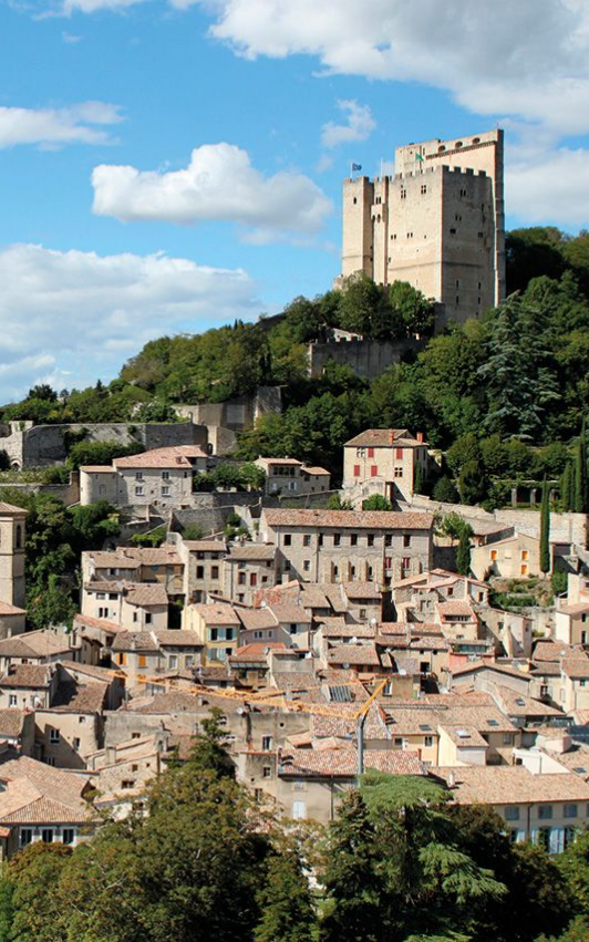 Village médiéval avec une tour en pierre au sommet d'une colline, entouré d'arbres et de bâtiments aux toits de tuiles.