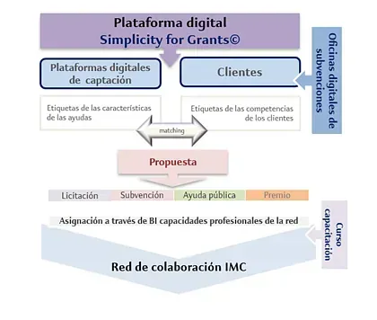 Diagrama de una plataforma digital para subvenciones.